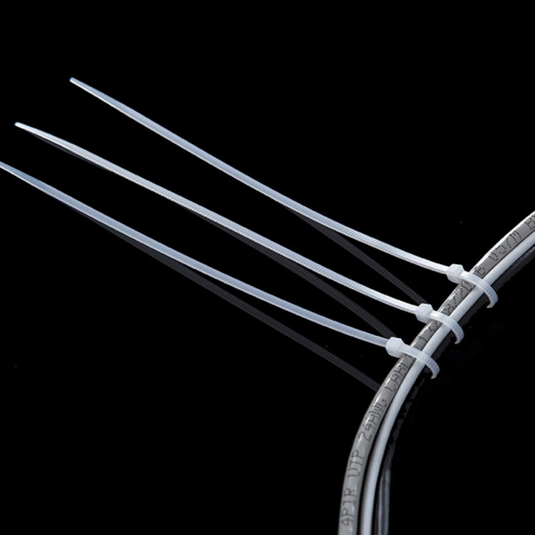 250 PCS 8mm*300mm Nylon Cable Ties(White) - Booster Cable & Clip by PMC TechLife | Online Shopping South Africa | PMC TechLife | Buy Now Pay Later Mobicred