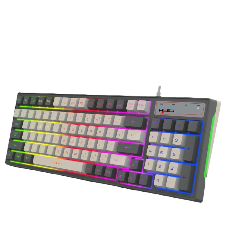 HXSJ V600 96-key RGB Backlit Dual-color Injection-molded Wired Gaming Keyboard - Wired Keyboard by HXSJ | Online Shopping South Africa | PMC Jewellery | Buy Now Pay Later Mobicred