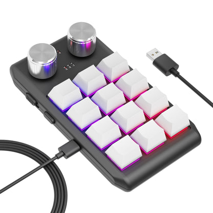 USB Wired 12KV2 MOLD Mini Mechanical 12 Keys 2 Knob Custom Programming Keyboard(White) - Mini Keyboard by PMC Jewellery | Online Shopping South Africa | PMC Jewellery | Buy Now Pay Later Mobicred