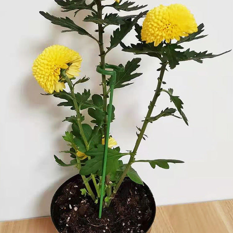 10pcs Plant Potted Flower Shape Support Rod Fixed Anti-lodging Leaf Guard Frame, Size:37cm - Shelves by PMC TechLife | Online Shopping South Africa | PMC TechLife