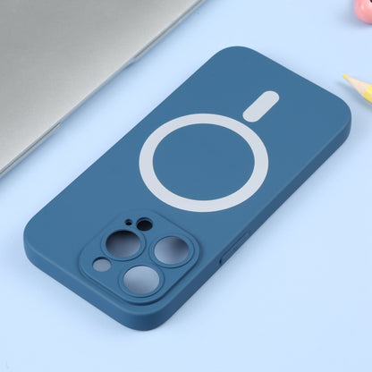 For iPhone 15 Pro Liquid Silicone Magsafe Phone Case(Blue) - iPhone 15 Pro Cases by PMC Jewellery | Online Shopping South Africa | PMC Jewellery