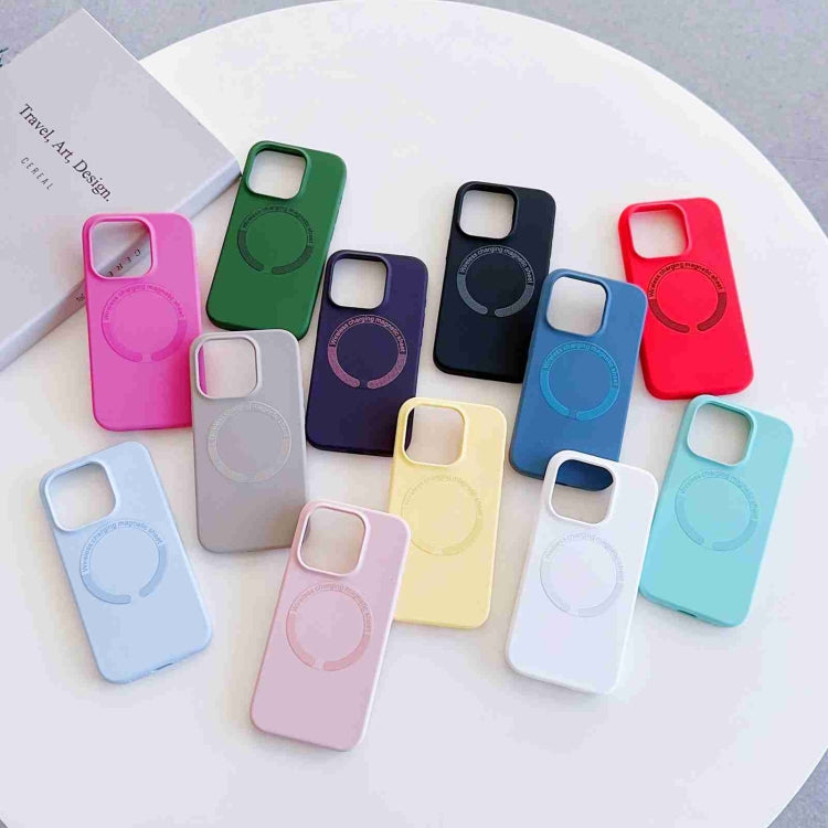 For iPhone 11 MagSafe Magnetic Liquid Silicone Phone Case(Black) - free shipping - PMC TechLife - Order now!