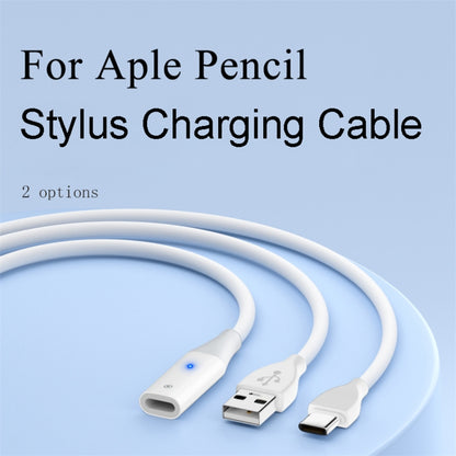 For Apple Pencil 1 USB-C / Type-C to 8 Pin Stylus Charging Cable with Indicator Light, Length:1m(White) - Pencil Accessories by PMC Jewellery | Online Shopping South Africa | PMC Jewellery | Buy Now Pay Later Mobicred