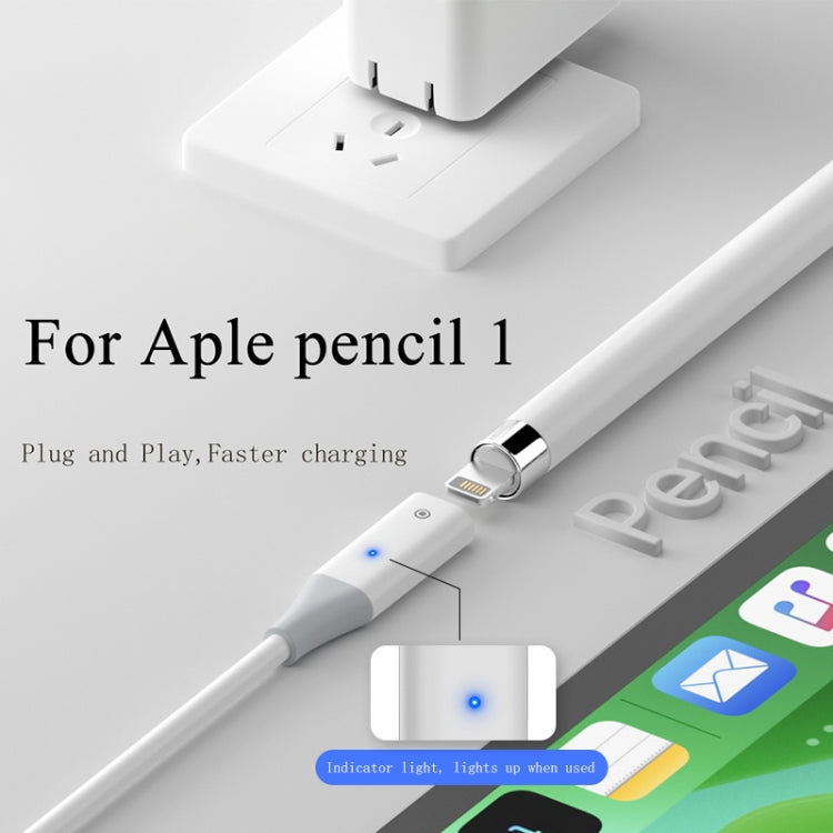 For Apple Pencil 1 USB-C / Type-C to 8 Pin Stylus Charging Cable with Indicator Light, Length:0.5m(White) - Pencil Accessories by PMC Jewellery | Online Shopping South Africa | PMC Jewellery | Buy Now Pay Later Mobicred