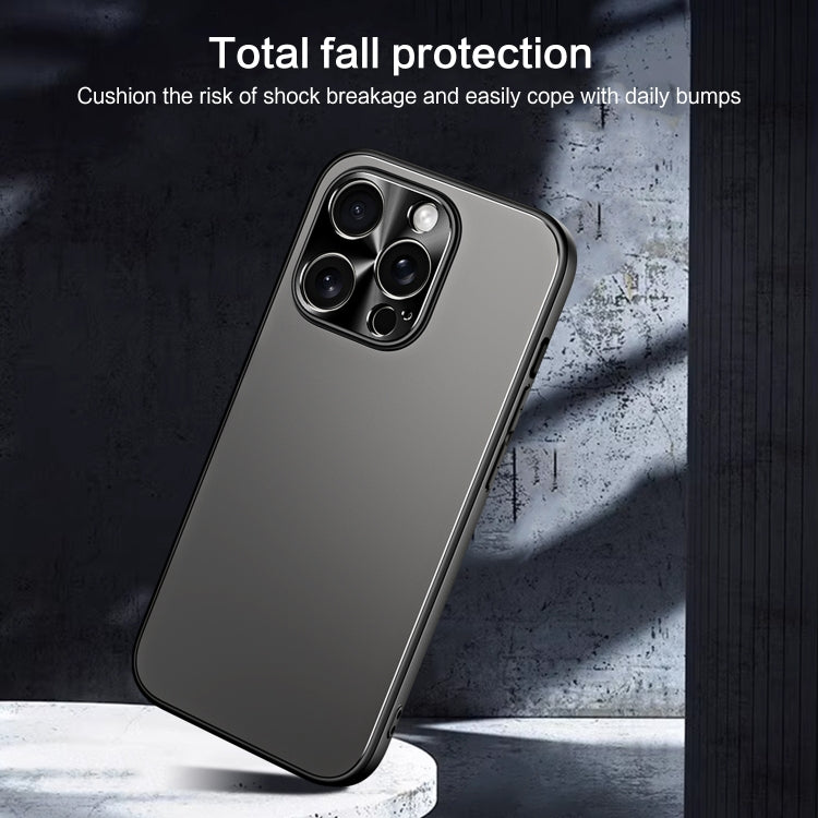 For iPhone 15 Pro R-JUST RJ-61 Electroplating Frosted TPU + PC Phone Case(Silver) - iPhone 15 Pro Cases by R-JUST | Online Shopping South Africa | PMC Jewellery