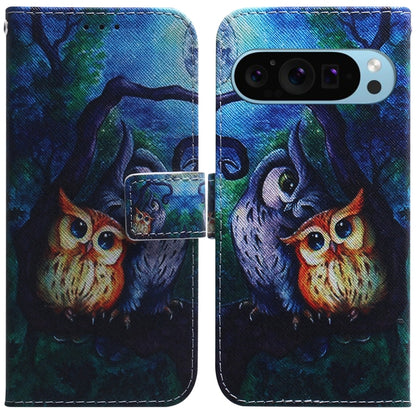 For Google Pixel 9 Pro Coloured Drawing Flip Leather Phone Case(Oil Painting Owl) - Google Cases by PMC Jewellery | Online Shopping South Africa | PMC Jewellery | Buy Now Pay Later Mobicred