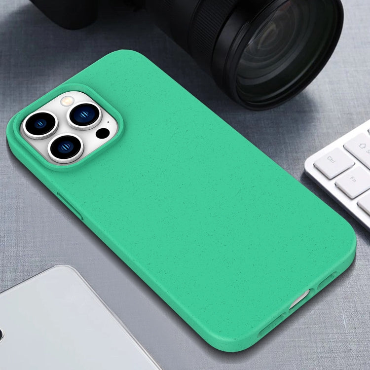 For iPhone 16 Plus Wheat Straw TPU Phone Case(White) - iPhone 16 Plus Cases by PMC TechLife | Online Shopping South Africa | PMC TechLife | Buy Now Pay Later Mobicred