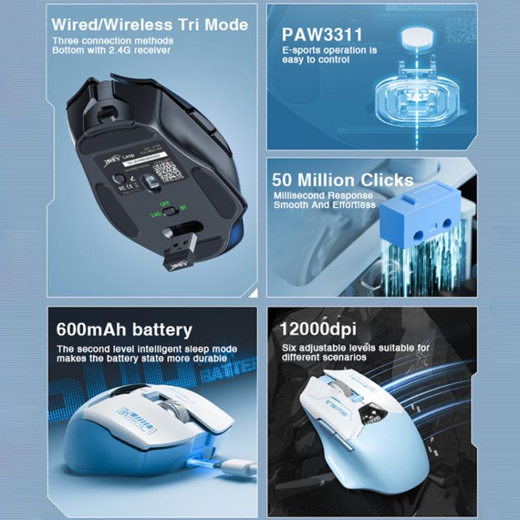 EDA0089679_B2.jpg@5601ae3bccee4c003889078df0d4a496