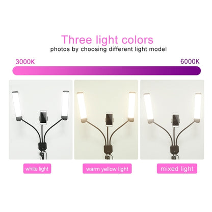 RK39 Portable Tri-color Adjustable Brightness Double Arms Fill Light with Phone Clip(Black) - Selfie Light by PMC Jewellery | Online Shopping South Africa | PMC Jewellery | Buy Now Pay Later Mobicred