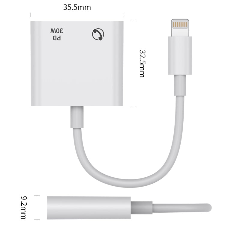 R-PCB-P1 30W 8 Pin to Type-C + 3.5mm Charging & Audio Converter - Converter & Adapter by PMC Jewellery | Online Shopping South Africa | PMC Jewellery | Buy Now Pay Later Mobicred