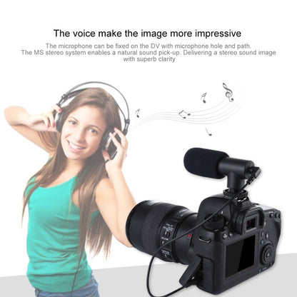 PULUZ 3.5mm Audio Stereo Recording Vlogging Professional Interview Microphone for DSLR & DV Camcorder, Smartphones - Camera Microphone by PULUZ | Online Shopping South Africa | PMC Jewellery | Buy Now Pay Later Mobicred