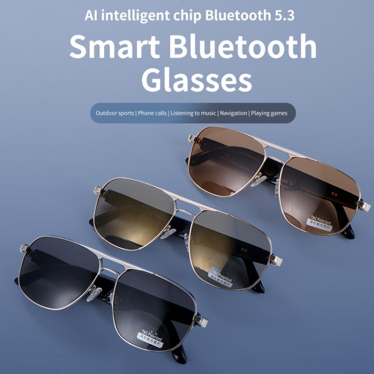 GS02 Smart Glasses, Support Voice Assistant / Bluetooth Call / Remote Control Photography(Brown) - free shipping - PMC TechLife - Order now!