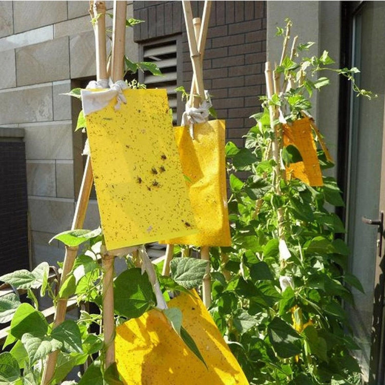 Double-sided Stick Insect Board Yellow Board Melon Fruit Fly Trap Board - Traps by PMC TechLife | Online Shopping South Africa | PMC TechLife | Buy Now Pay Later Mobicred