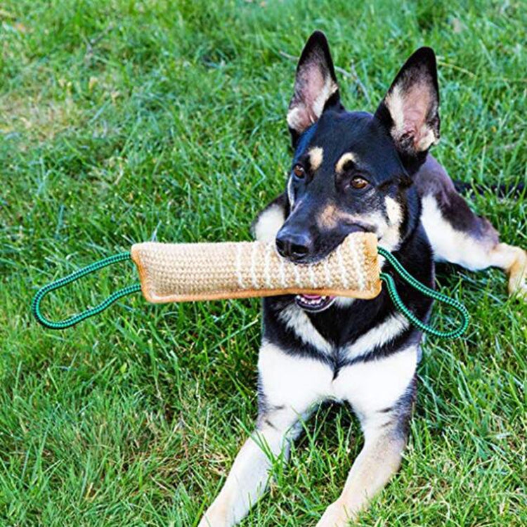 Dog Training Hemp Bite Stick Dog Bite Stick Dog Training Supplies(A2) - Training Aids by PMC Jewellery | Online Shopping South Africa | PMC Jewellery | Buy Now Pay Later Mobicred