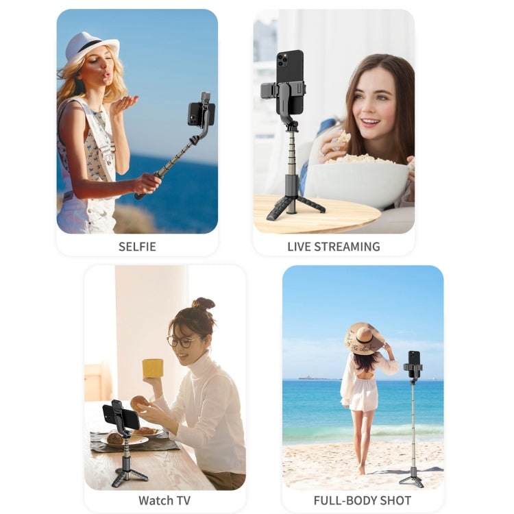 Mini Selfie Stick Integrated Multifunctional Bluetooth Selfie, Specification: Q10S 70cm With Fill Light - Selfie Sticks by PMC TechLife | Online Shopping South Africa | PMC TechLife | Buy Now Pay Later Mobicred