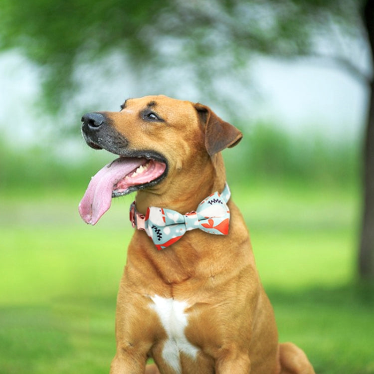 Rose Gold Buckle Pet Detachable Bow Collar, Size: S 1.5x28-40cm(Blue Snake Flower) - Collars by PMC Jewellery | Online Shopping South Africa | PMC Jewellery