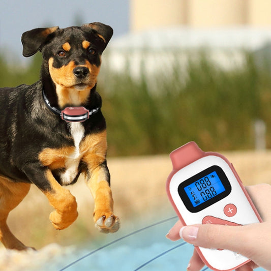 PaiPaitek PD523 1000m Remote Control Rechargeable Waterproof Dog Trainer - Training Aids by PaiPaitek | Online Shopping South Africa | PMC Jewellery | Buy Now Pay Later Mobicred