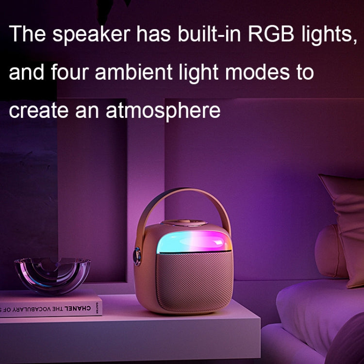 Havit P1 Portable Singing Home Wireless Bluetooth Speaker Microphone Set, Style: Dual-microphone - free shipping - PMC TechLife - Order now!