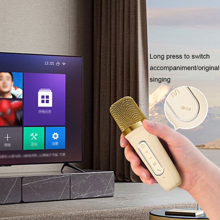 Havit P1 Portable Singing Home Wireless Bluetooth Speaker Microphone Set, Style: Dual-microphone - free shipping - PMC TechLife - Order now!