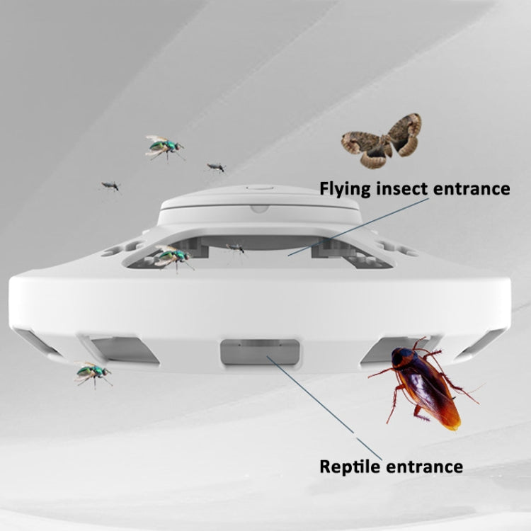 Flea Fly Mosquito Trap Cockroach House with Warm And Purple Light(Black) - Traps by PMC TechLife | Online Shopping South Africa | PMC TechLife | Buy Now Pay Later Mobicred