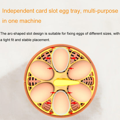 6-Eggs Small Household Experimental Children Smart Chicken Incubators, Spec: Manual AU Plug - Incubators by PMC Jewellery | Online Shopping South Africa | PMC Jewellery