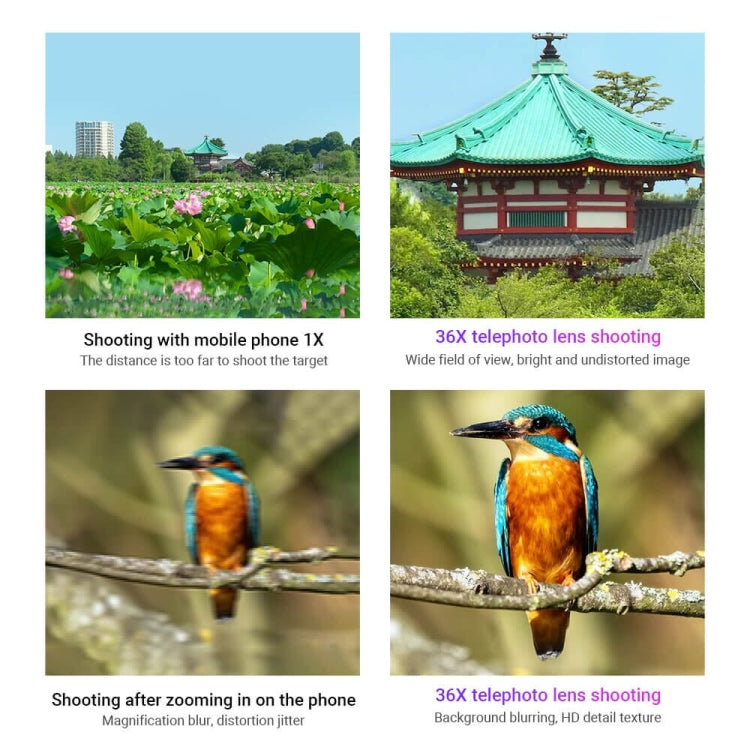 APEXEL HD Metal 36X Zoom Telescope Telephoto Lens With Extendable Tripod - free shipping - PMC Jewellery - Order now!