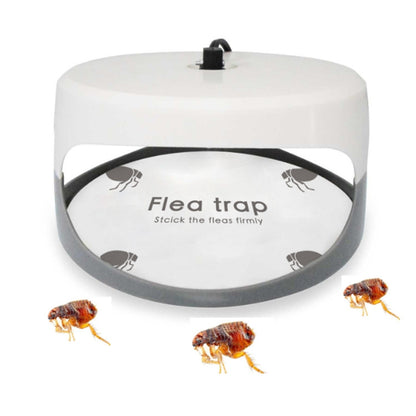 Flea Trap Pet Home Flea Lamp, Plug Type:EU Plug - Traps by PMC Jewellery | Online Shopping South Africa | PMC Jewellery | Buy Now Pay Later Mobicred