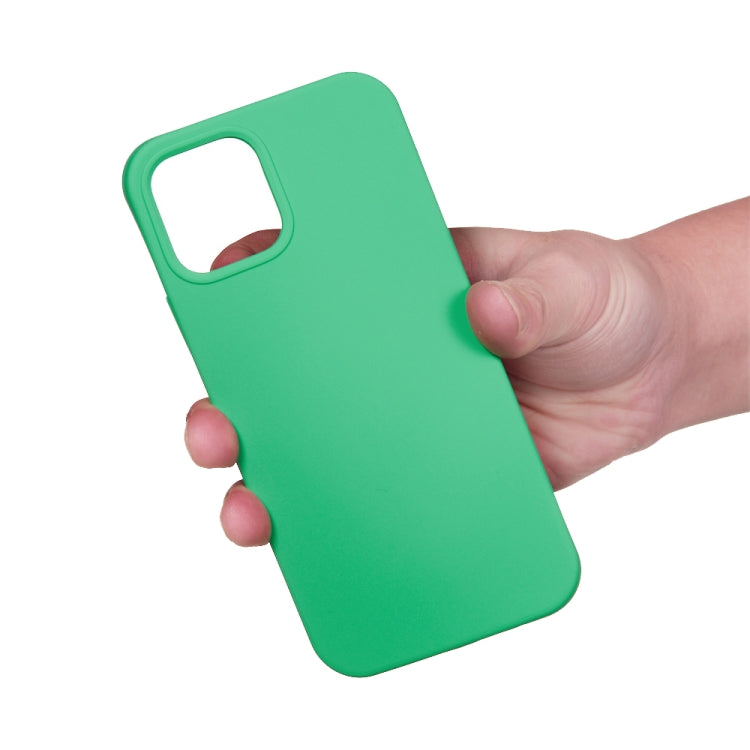 For iPhone 15 Plus Solid Color Silicone Phone Case(Green) - iPhone 15 Plus Cases by PMC Jewellery | Online Shopping South Africa | PMC Jewellery