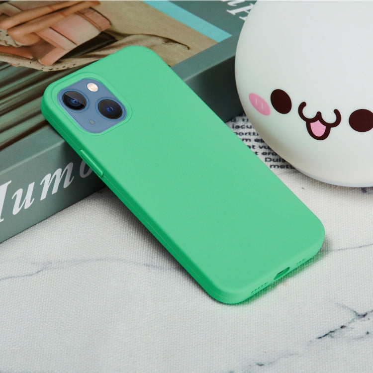 For iPhone 15 Plus Solid Color Silicone Phone Case(Green) - iPhone 15 Plus Cases by PMC Jewellery | Online Shopping South Africa | PMC Jewellery