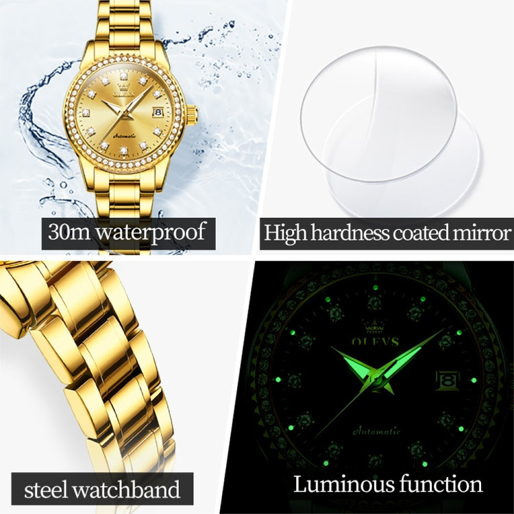 OLEVS 7003 Women Multifunctional Waterproof Mechanical Watch(Gold) - Metal Strap Watches by OLEVS | Online Shopping South Africa | PMC Jewellery