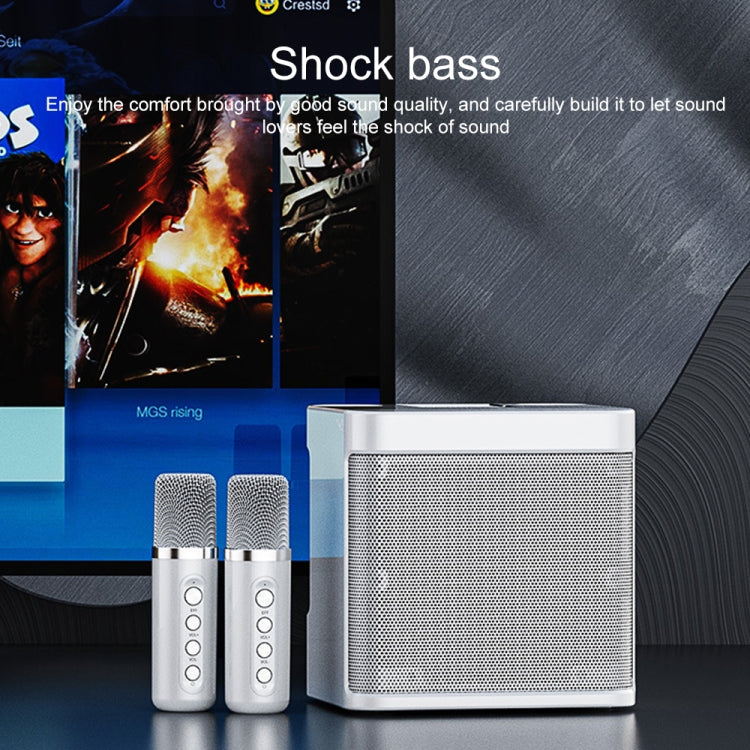 YS-203 Bluetooth Karaoke Speaker Wireless Microphone(Black) - Microphone by PMC TechLife | Online Shopping South Africa | PMC TechLife