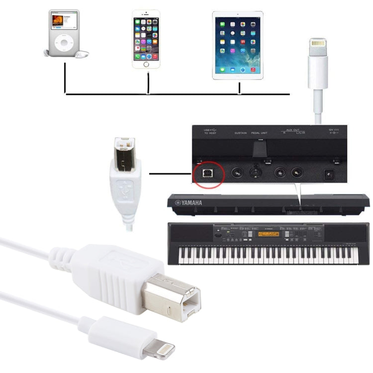1m 8 Pin to Type-B Male Piano / Electronic Piano Cable MIDI Cable Adapter(White) - free shipping - PMC TechLife - Order now!