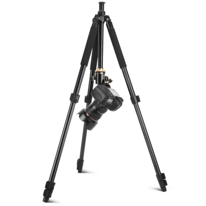 Q338 4-Section Folding Legs Live Broadcast Aluminum Alloy Tripod Mount With Three-dimensional Head - Tripods by PMC Jewellery | Online Shopping South Africa | PMC Jewellery