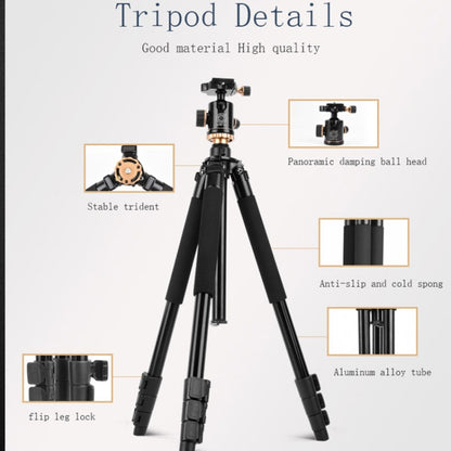 Q338 4-Section Folding Legs Live Broadcast Aluminum Alloy Tripod Mount With Three-dimensional Head - Tripods by PMC Jewellery | Online Shopping South Africa | PMC Jewellery