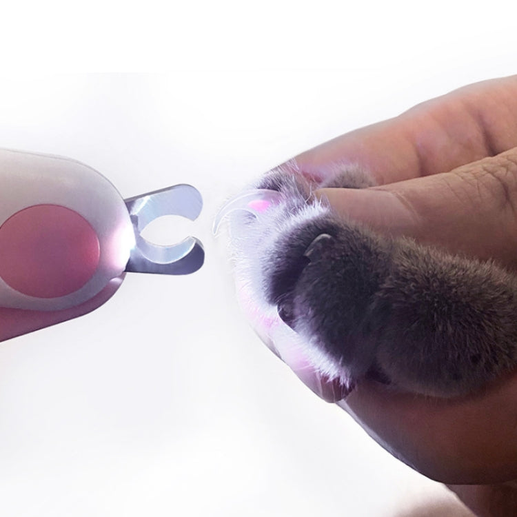 Pet Nail Clippers With LED Blood Line Light(Blue) - Pet Care by PMC TechLife | Online Shopping South Africa | PMC TechLife