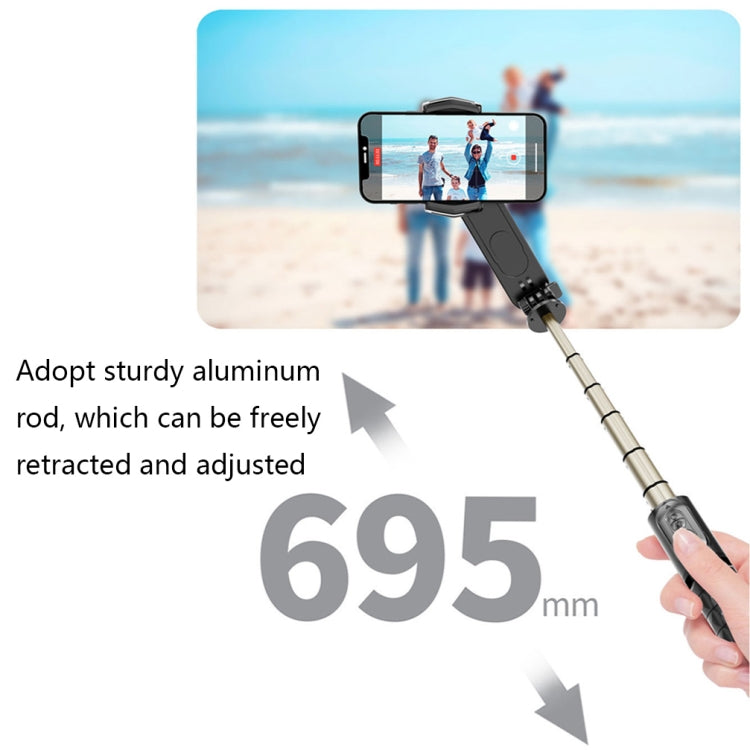 Removable Fill Light Phone Handheld Stabilizer with APP(Q09 Black) - Handheld Gimbals by PMC TechLife | Online Shopping South Africa | PMC TechLife