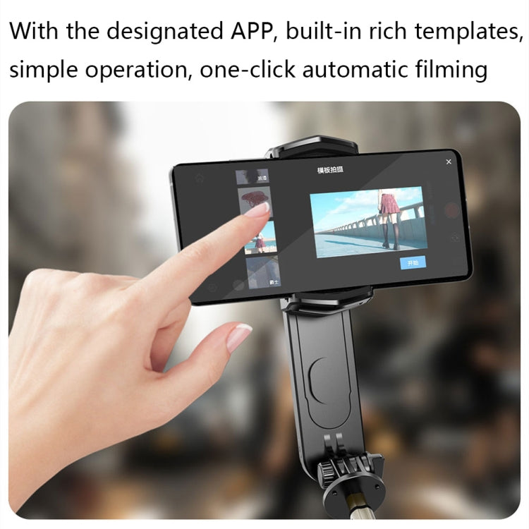 Removable Fill Light Phone Handheld Stabilizer with APP(Q09 Black) - Handheld Gimbals by PMC Jewellery | Online Shopping South Africa | PMC Jewellery