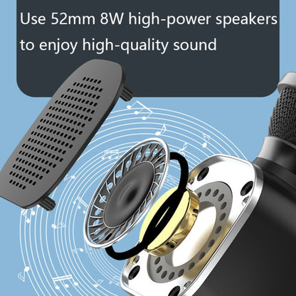 DS813 Live Wireless Bluetooth Microphone(Black) - Microphone by PMC Jewellery | Online Shopping South Africa | PMC Jewellery