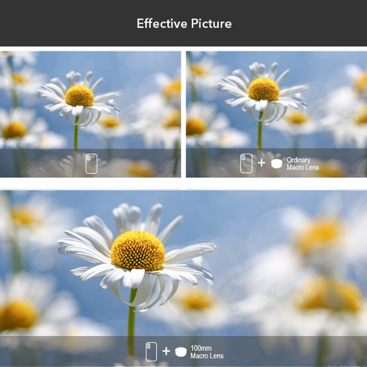 APEXEL APL-HB100MM HD Insect Jewelry 100 Micro External Mobile Phone Lens(Telephoto Clip) - free shipping - PMC TechLife - Order now!